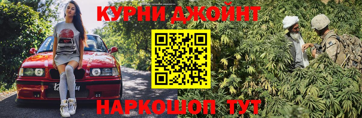 Конопля White Widow  Вход с VPN  Бошки Шишки планчик  Карасук 